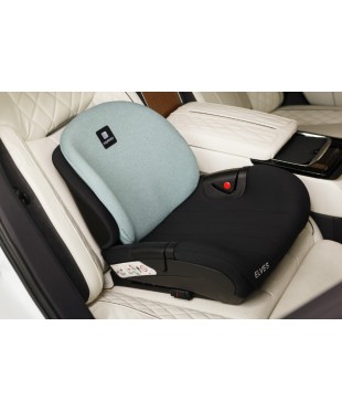 Автокресло Martin noir Elves Verdante veil (бустер со спинкой, с Isofix) 