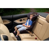 Автокресло Tron Oldem цвет: Brown/Print KS 565