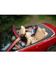Автокресло Tron Oldem цвет: Brown/Print KS 565